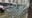 Caught on Camera: Woman with hammer vandalizes 16 businesses in downtown Tacoma